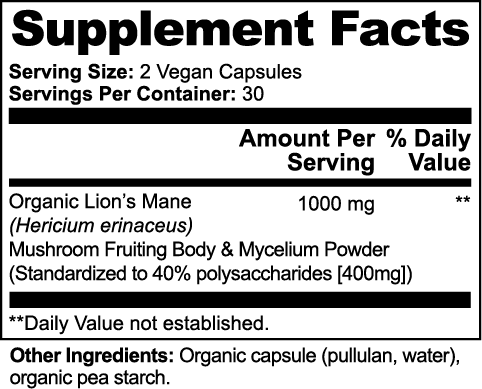 Lion's Mane Mushroom - Synerva